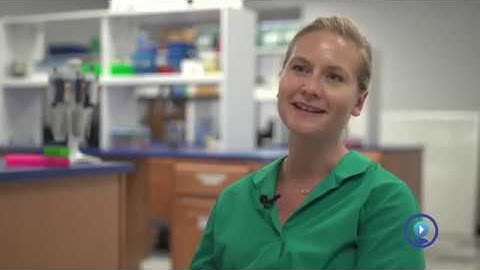 VirtualJobShadow.com Promo