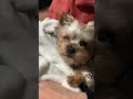 なんやのよぉ