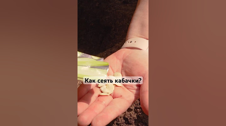 ЕЩЕ МОЖНО ПОСЕЯТЬ КАБАЧКИ В ОТКРЫТЫЙ ГРУНТ! #семена #агрофирма #кабачки #сад #дача #огород