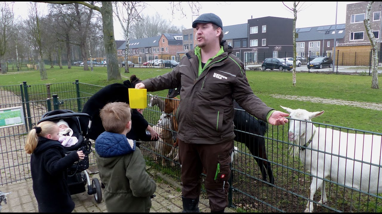 Burendag op kinderboerderij De Oedenstee / Hoogvliet 2020