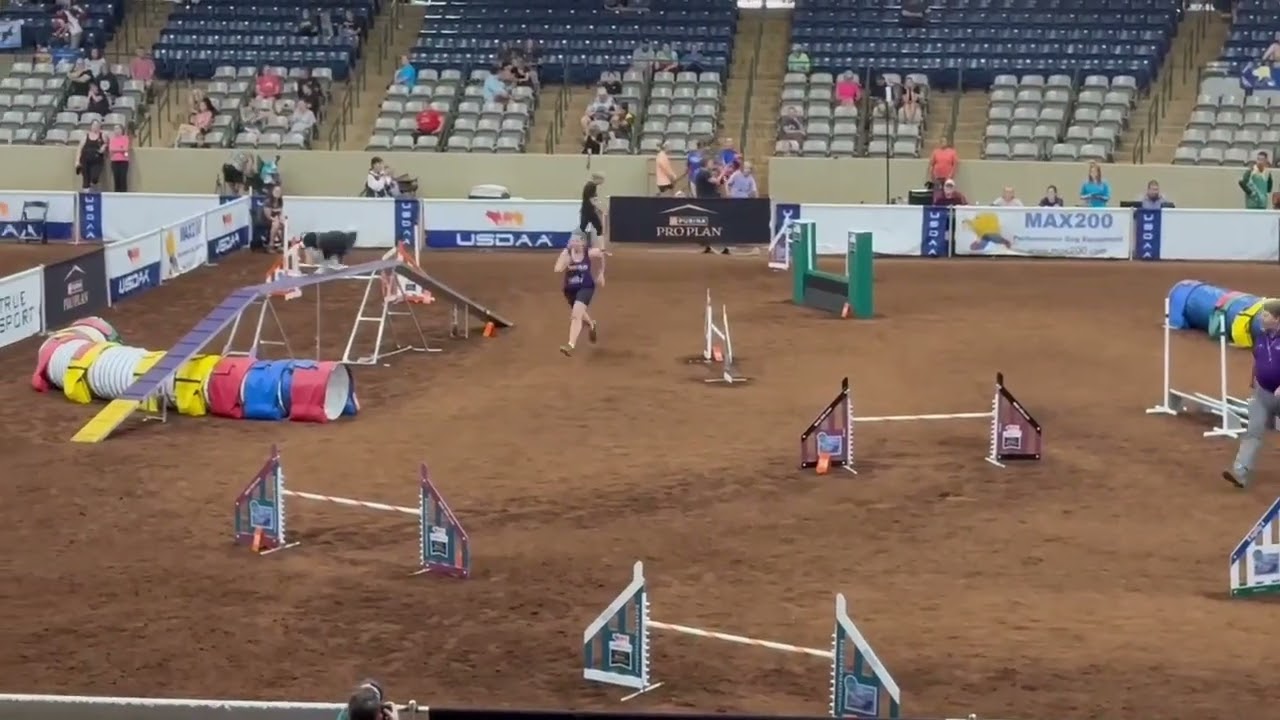 Stig - 2025 Cynosports Biathlon Standard 6th place 