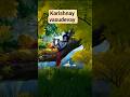 karishnay vasudevay #radheradhe #trendingshorts #youtubeshorts #