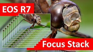 EOS R7 | Focus Stack montage in-camera (Dutch)