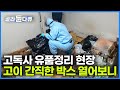 고인과 유가족의 뜻은 달랐다 고독사 유품을 정리하면 알게 되는 안타까운 사실들 10년 차 유품정리사가 유품을 보관하는 이유 천국으로 가는 이삿짐 그곳에 사람이 있다 골라듄다큐 고인과 유가족의 뜻은 달랐다 고독사 유품을 정리하면 알게 되는 안타까운 사실들 10년 차 유품정리사가 유품을 보관하는 이유 천국으로 가는 이삿짐 그곳에 사람이 있다 골라듄다큐