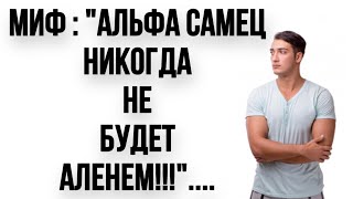 Кто такие "АЛЬФА САМЦЫ"??? и может ли "АЛЬФАЧ" быть АЛЕНЕМ???