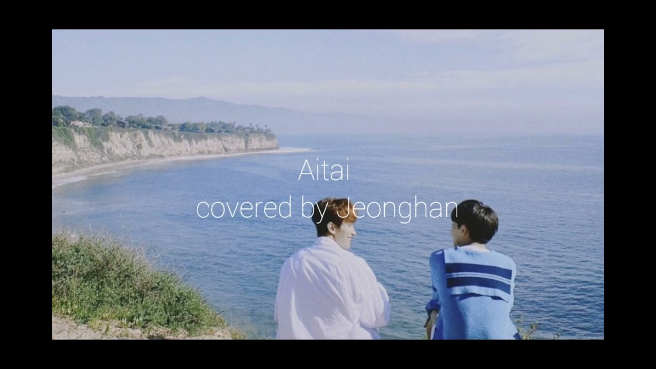 仕事.学校で疲れたCaratさんが明日も頑張れるセブチ曲メドレー💎 #seventeen