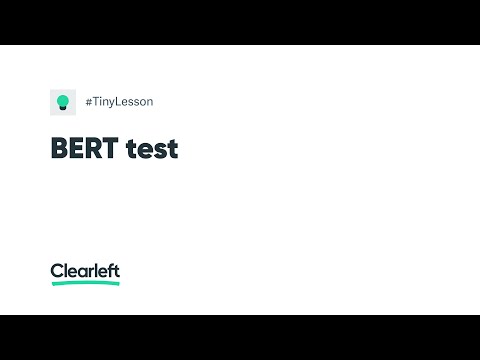 Tiny Lesson: BERT test