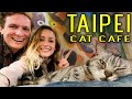 Visiting the WORLD&#39;S FIRST CAT CAFE! 😸☕ (Taipei, Taiwan)