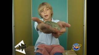 Discovery Kids Chomp Chat-Frog