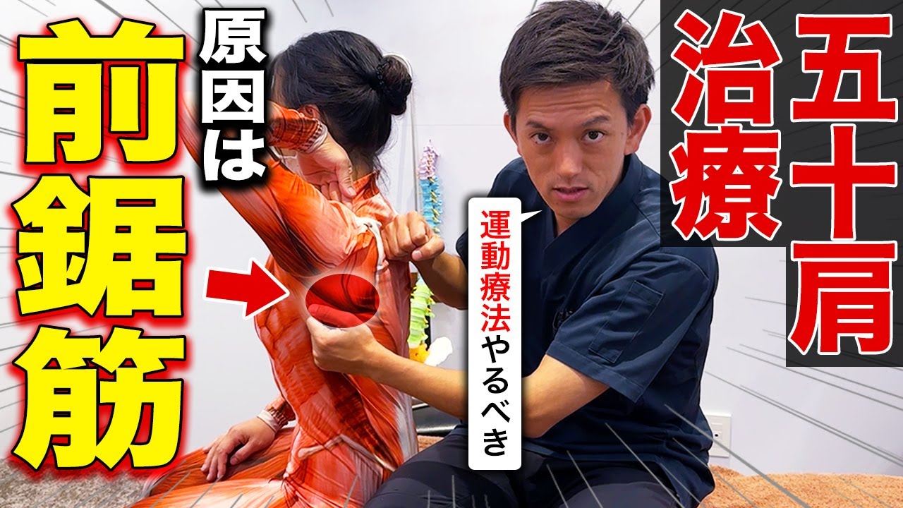 【この動画だけ見てください】五十肩治療で狙うべき「前鋸筋」の運動療法を特別に教えます！