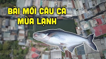 Chia Sẻ Bài Mồi Câu Cá Mùa Lạnh Siêu Nhạy | Cách Làm Mồi Chuối Câu Cá | Chung Nguyễn Fishing