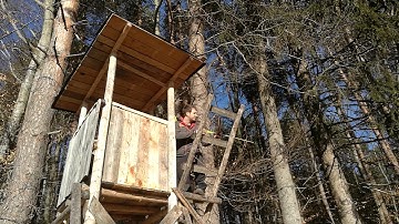 Longbow shooting from a deerstand