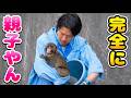 こんなの愛がないと絶対無理…パンチと飼育員が完全に親子だった