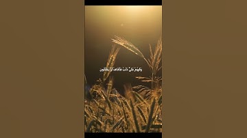 اكتب شيء تؤجر عليه♥️✍🏼.       القارئ:اسلام صبحي.