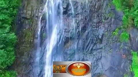 تلاوة __ من سورة القصص _ رامي سلطان