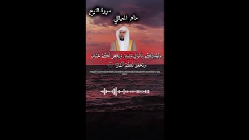 سورة النوح مع القارئ ماهر المعيقلي