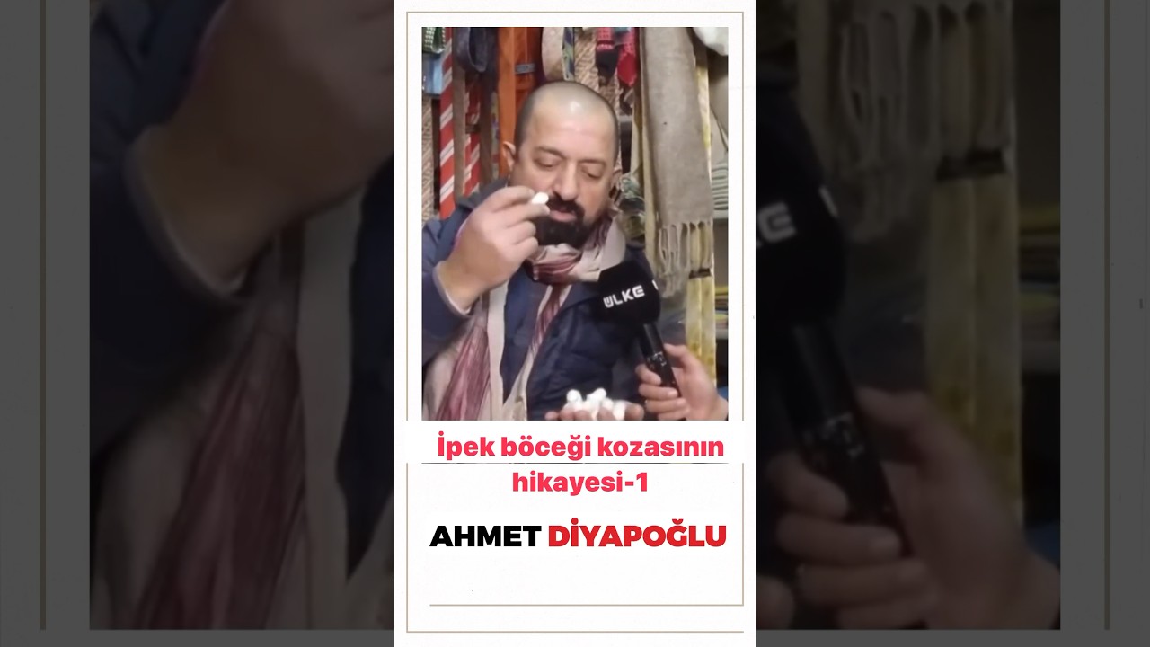 İpek böceği kozasının macerası