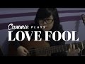Lovefool - The Cardigans (Fingerstyle Guitar Cover)