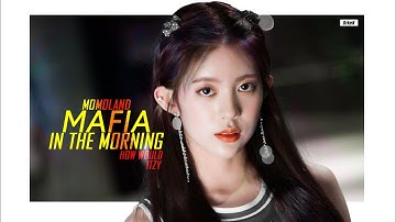 How would MOMOLAND (OT9) sing "마.피.아. In the morning" ITZY | Line distribution - BrkeN