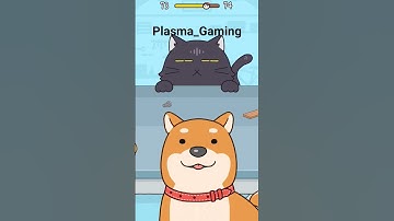 Hide and Seek: Cat Escape | Level 72