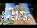 【閲覧注意】トリマーをやめた理由。PTSD
