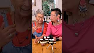 Jak dbać o sierść długowłosego kota?