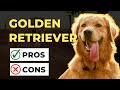 GOLDEN RETRIEVER PROS AND CONS: The Good And The Bad