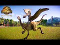 FLYING REPTILES vs Small and Medium Dinosaurs | Jurassic World Evolution 2