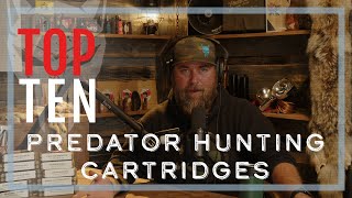 Top Ten Predator Hunting Cartridges | TPH30