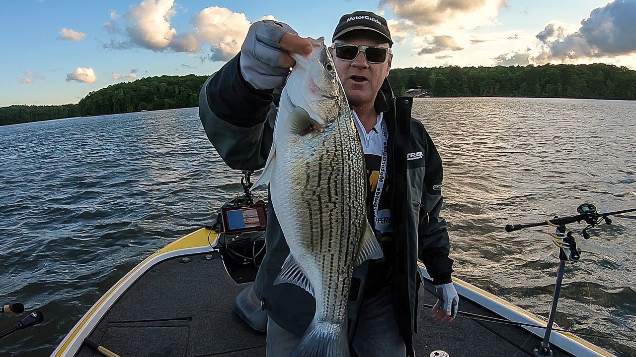 FOX Sports Outdoors SouthWEST 9 2019 Oconee Hybrid Striper Fishing YouTube