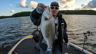 FOX Sports Outdoors SouthWEST #9 - 2019 Oconee Georgia Hybrid Striper Fishing