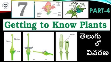 NCERT SCIENCE CHAPTER-7 PART-4||TACKLEKNOWLEDGECHANNEL|TELUGU EXPLANATION|FREEONLINE CLASSESEVERYDAY