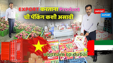 Dragon Export Vietnam to Dubai ! Business idea ! Import export business EIFT
