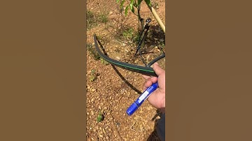 Ống LDPE tưới cho địa hình đồi dốc