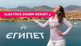 Єгипет 2024. Достойна 4-ка. Albatros Sharm Resort 4*. Лаконічний огляд компактного готелю