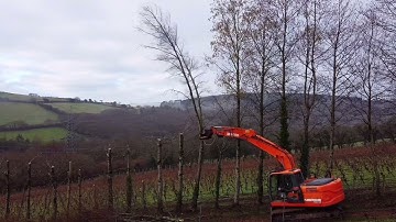 Doosan dx140 & tmk 400 tree shear