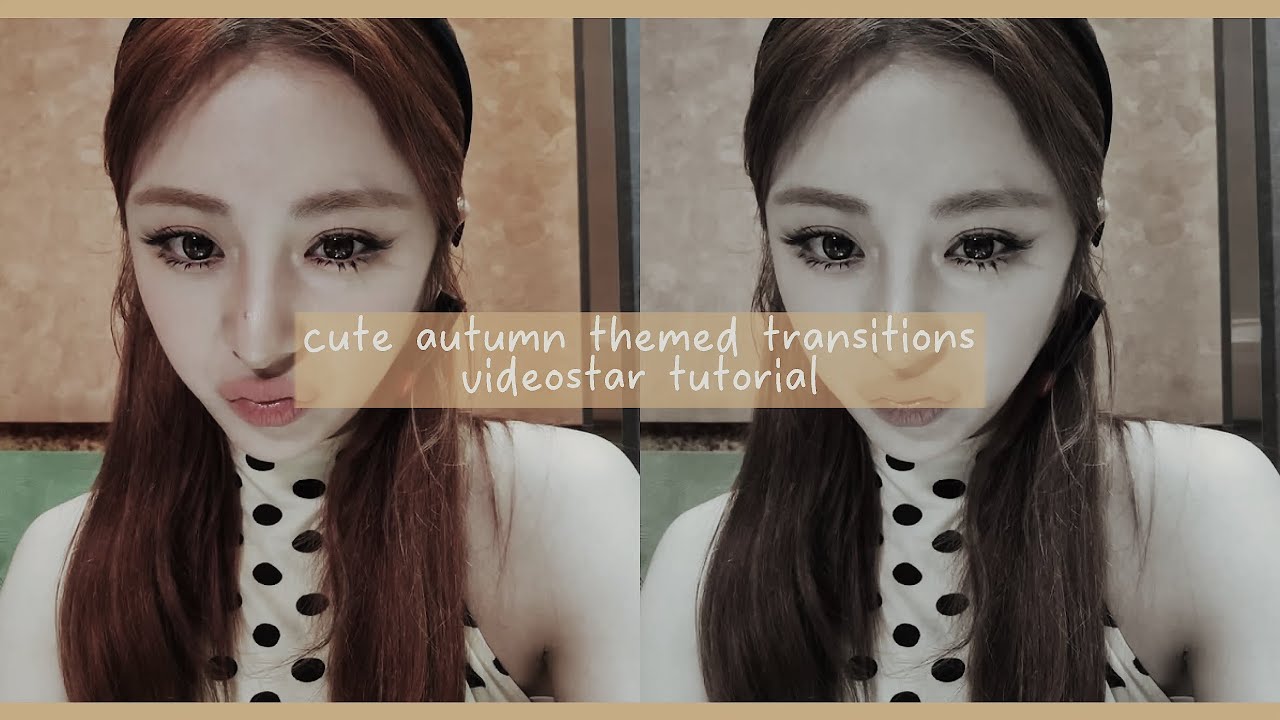 CUTE AUTUMN THEMED TRANSITIONS | VIDEOSTAR TUTORIAL