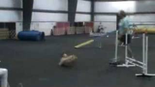 Noel's Awesome CPE Level 3 Standard run