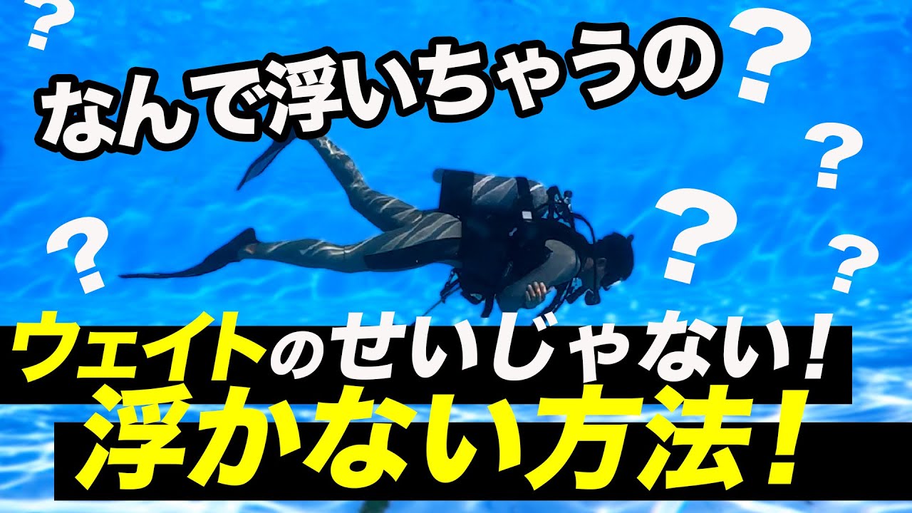 【ダイビングスキル3部】ダイビングやり始めたばかりって何故か浮いちゃいませんか？ウェイトが足りない？泳ぎ方に原因があるのかもしれませんよ！？