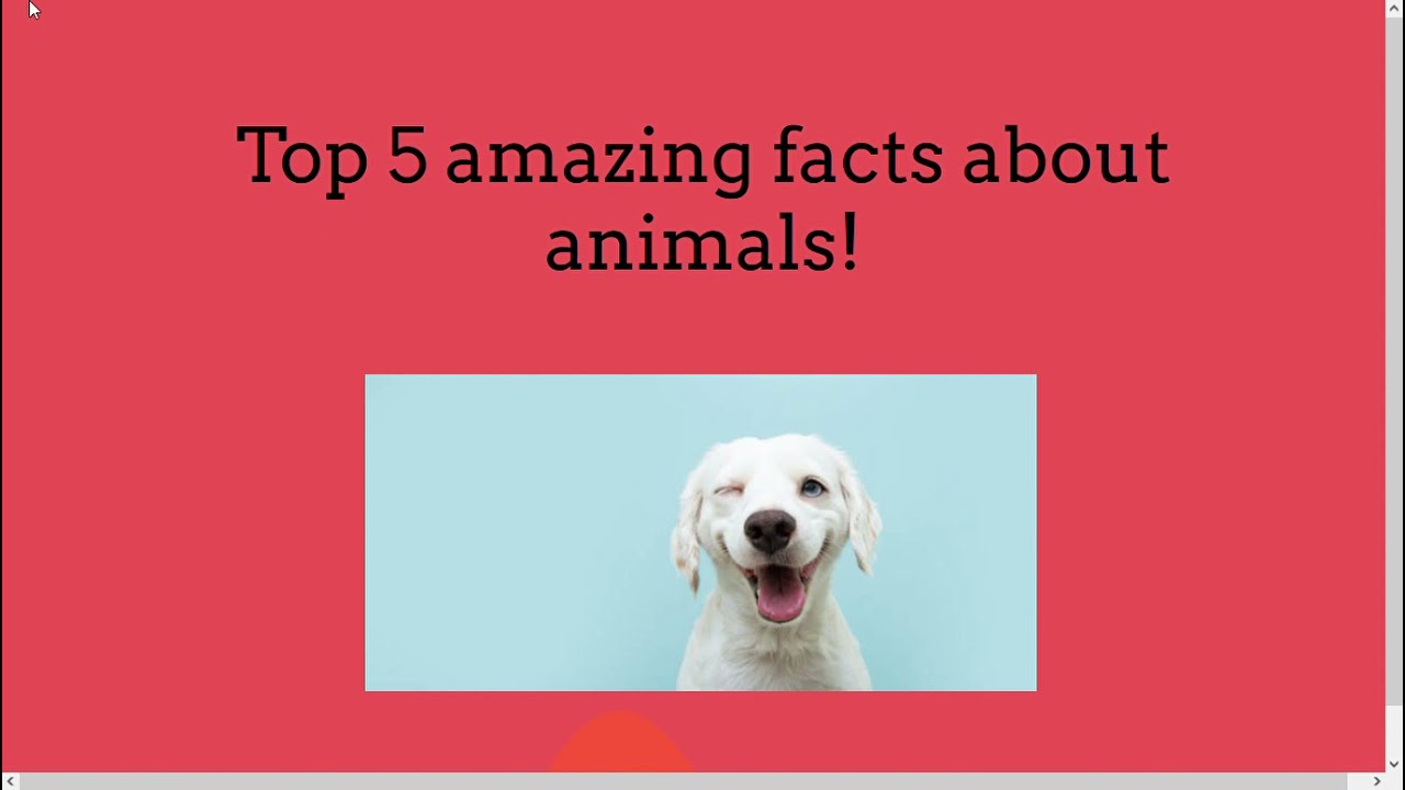Top 5 amazing facts about animals that will keep you numb for a year