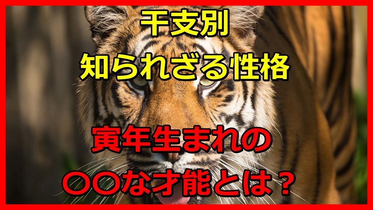 寅年の人との相性診断 相性の良い干支 悪い干支 付き合い方 話題ネタ 会話をつなぐ話のネタ