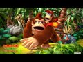 Donkey kong country returns music  muncher marathon