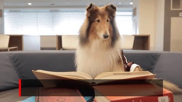 How To Write A Book Press Release? Sample & Template