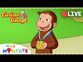 LIVE 🔴 | Winning the Race 🏆 | Non-Stop Curious George | Mini Moments