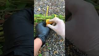 #knotting ropes #Knotting tutorial #Knotting techniques #Knot tying technique #Love Douyin, love lif