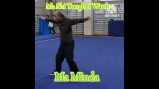 Download Lagu Ma Minda. Ma Shi Tongbei Wushu. MP3