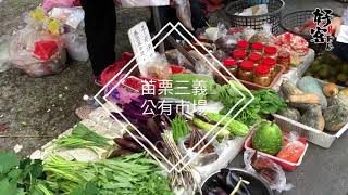 亞莉日常《苗栗三義公有市場》 