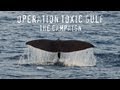 Operation Toxic Gulf - The Campaign