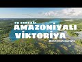 Dünyanın ən böyük və ən qəddar su zanbağı: Amazoniyalı Viktoriya