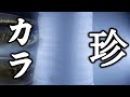 【導入】体の一部が青くなるのが1番美しいんじゃ。ブルーアイグリーンラインデビルテトラ、ハイフェソブリコンsp.ブルースカイ【ふぶきテトラ】